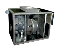 HÜCRELİ PLUG FANLAR